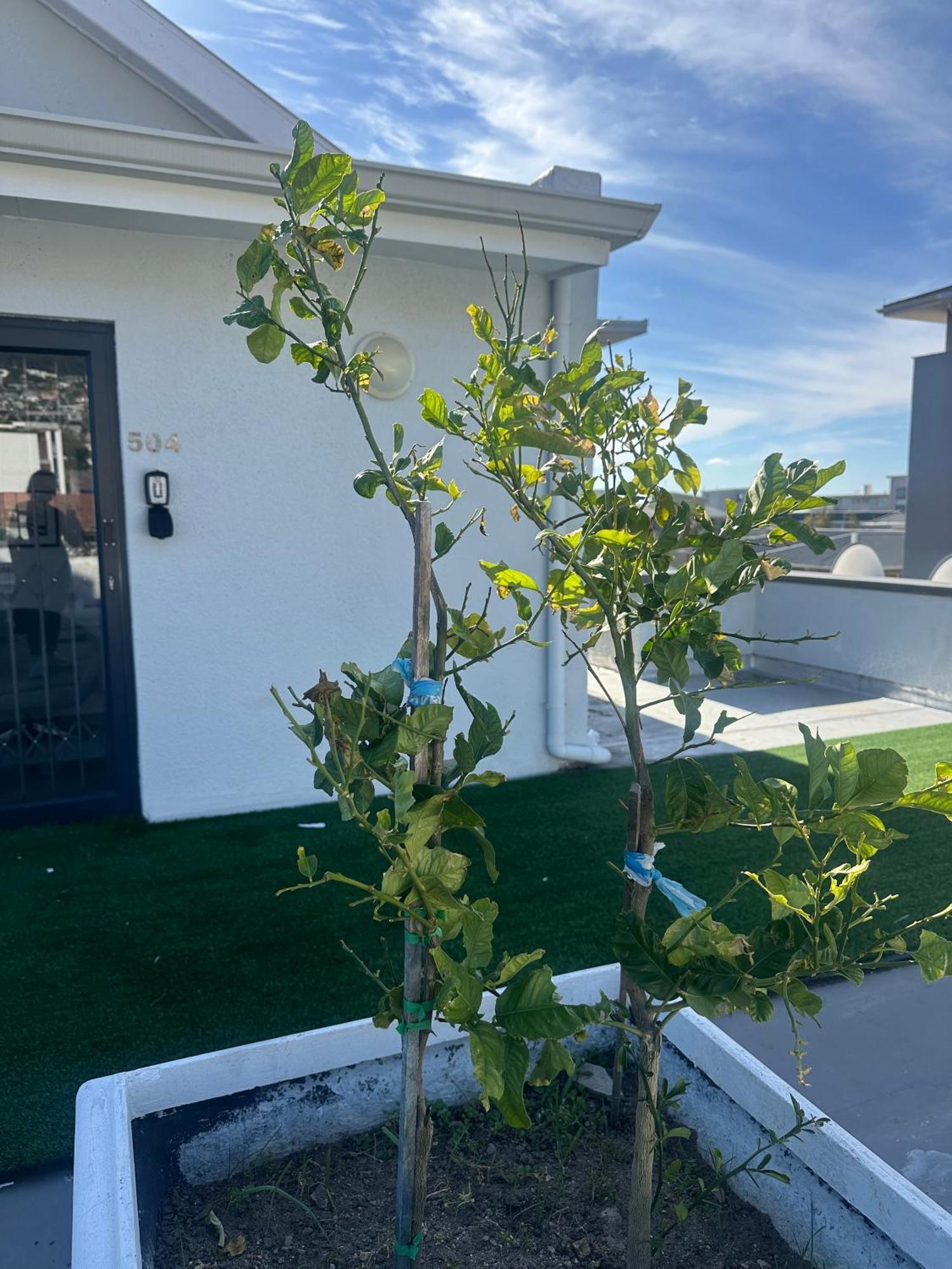 Camborne Holiday Apartments Cidade Do Cabo Exterior foto